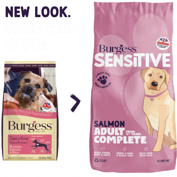 Burgess Sensitive Dog Adult Salmon 2kg