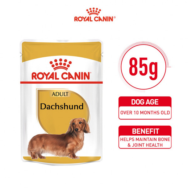Royal Canin Dachshund Adult Wet Dog Food (85g) - Breed Health Nutrition