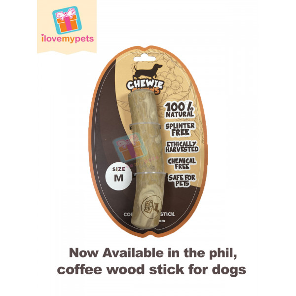 Chewie Chews Dental Coffee Stick M