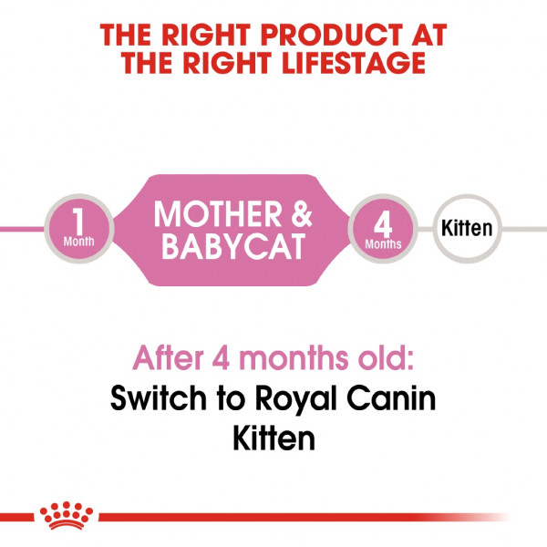 Royal Canin Mother & Babycat Dry Cat Food (400g) - Feline Health Nutrition