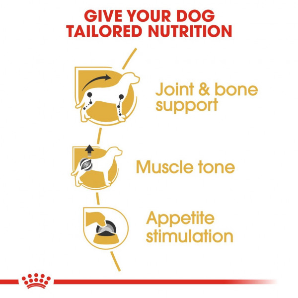 Royal Canin Dachshund Adult Wet Dog Food (85g) - Breed Health Nutrition