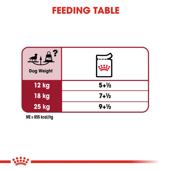 Royal Canin Medium Adult Wet Food (140g) - Size Health Nutrition