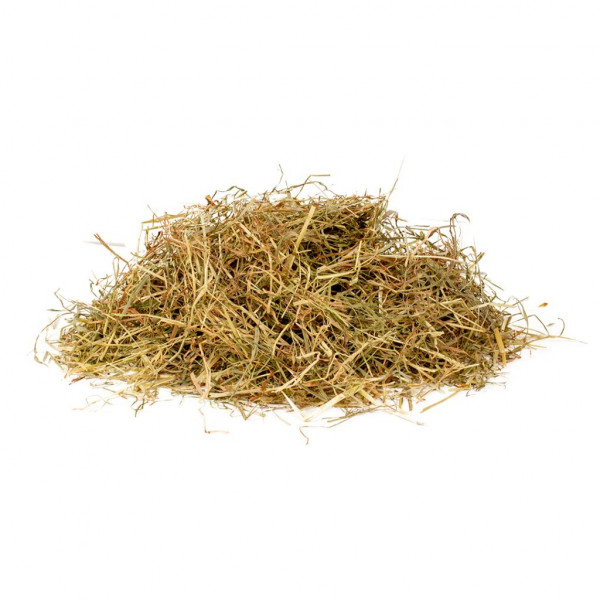 Witte Molen Top Fresh Meadow Hay 1kg,  Imported from Holland, Best VALUE
