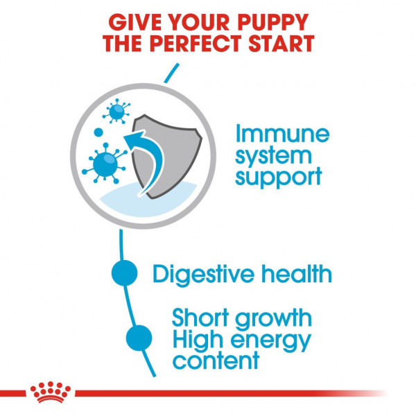 Royal Canin Medium Puppy Wet Food (140g) - Size Health Nutrition