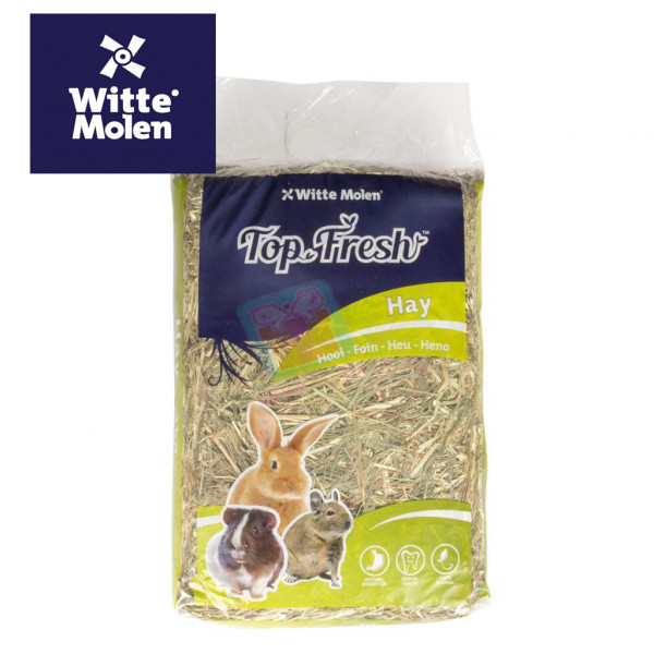 Witte Molen Top Fresh Meadow Hay 1kg,  Imported from Holland, Best VALUE