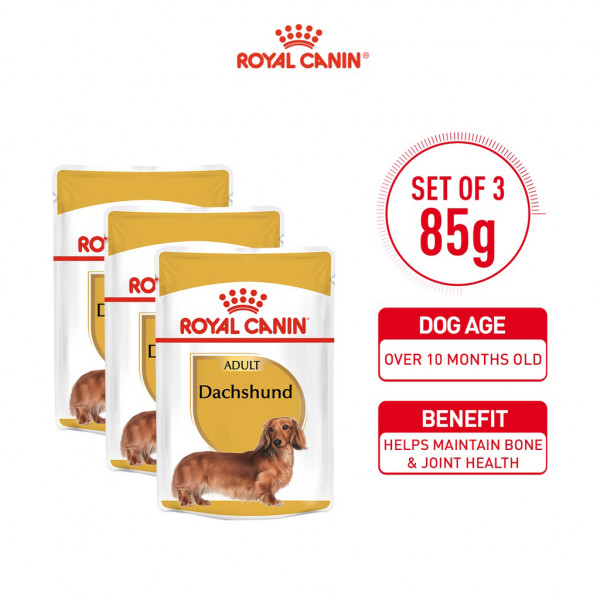 Royal Canin Dachshund Adult Wet Dog Food (85g x 3 pouches) - Breed Health Nutrition
