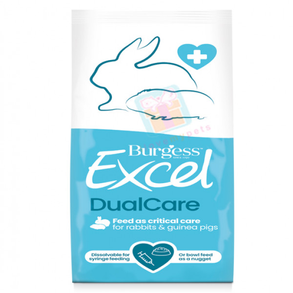 Burgess Excel Dual Care 60G - sold per pc.