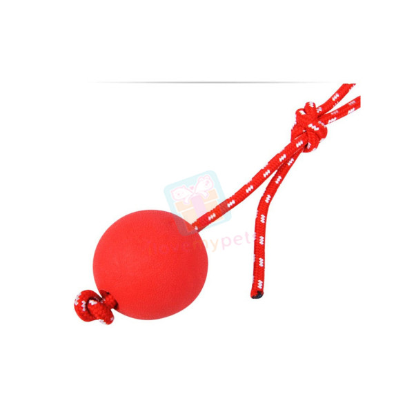 Happy Pet Solid Rubber Ball with Rope Large