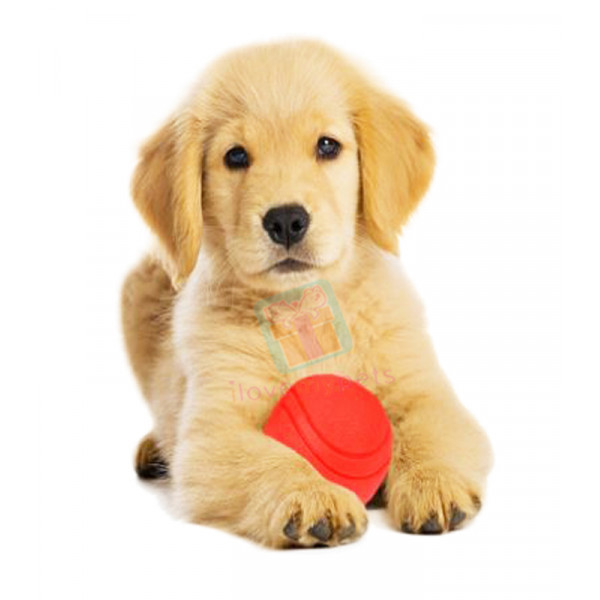 Happy Pet Fetch Rubber Ball Large