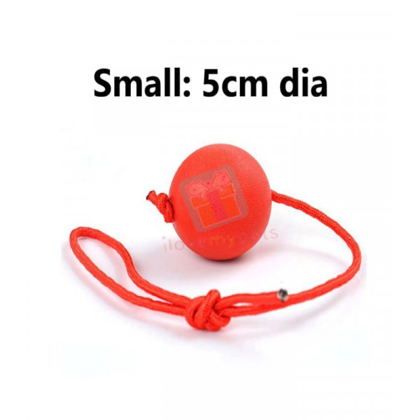 Happy Pet Solid Rubber Ball with Rope Small