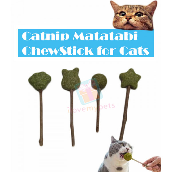 Catnip Matatabi Chew Stick for Cats
