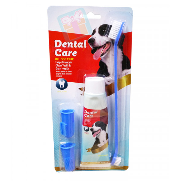 Dental Care Toothpaste w/ Toothbrush & Finger Brush