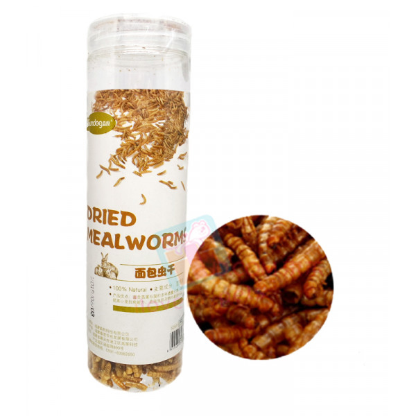 Sundog Dried Mealworms 50 grams