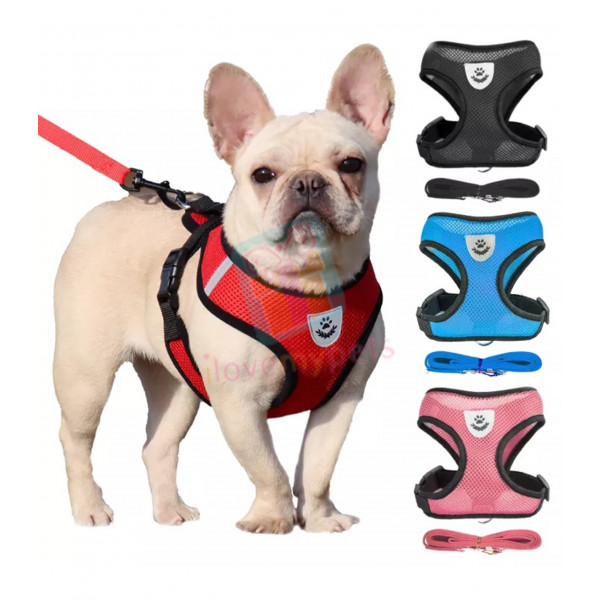 Soft and comfy mesh no pull walking harness small