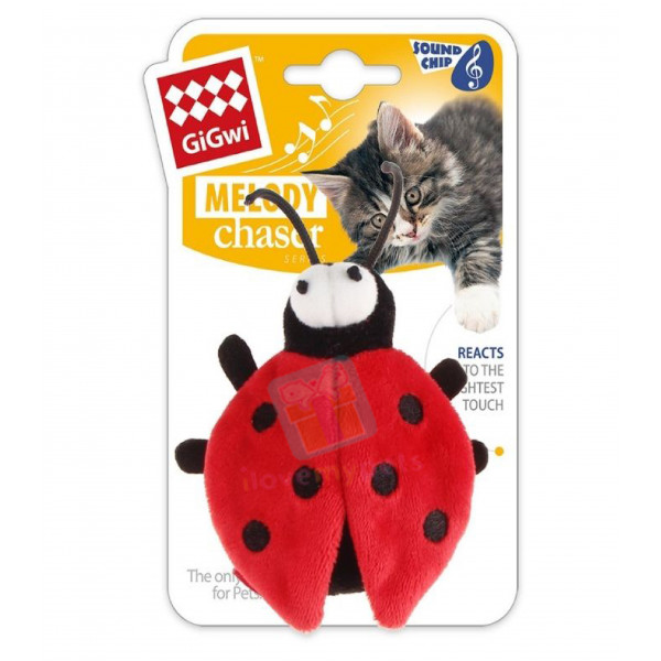 Gigwi Melody Chaser for Cat - Beetle Des...