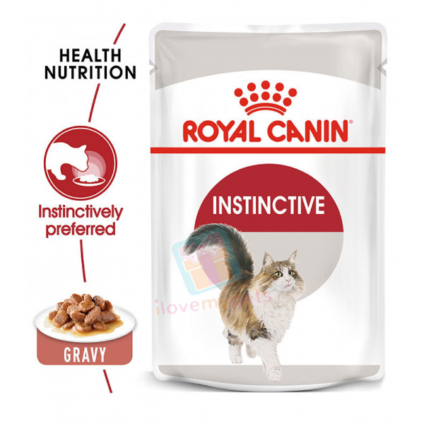 Royal Canin Cat Food in Pouch - 85g -  4 variants available