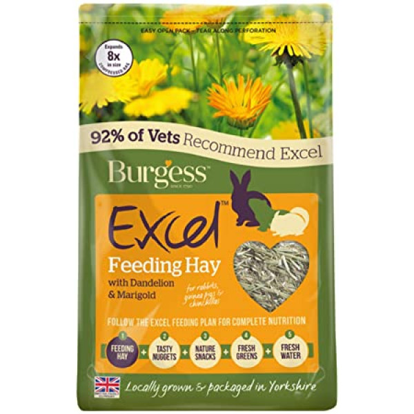Burgess Excel Feeding Hay Dandelion &...