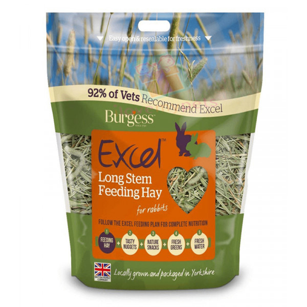 Burgess Excel Long Stem Feeding Hay 1kg