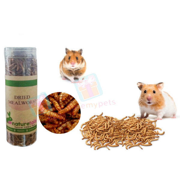 Naturetails Dried Mealworms 50 grams - All Natural Dried Mealworms BUY 1 TAKE 1 PROMO