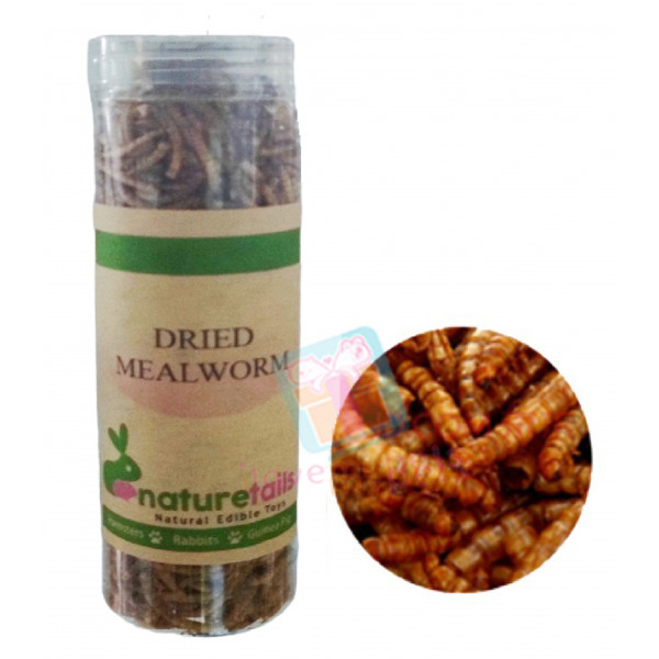 Naturetails Dried Mealworms 50 grams - All Natural Dried Mealworms BUY 1 TAKE 1 PROMO