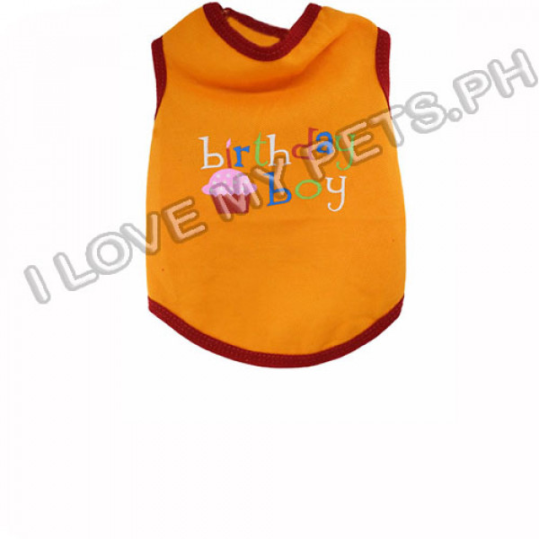 Birthday Boy T-Shirt 100% Cotton (Orange)
