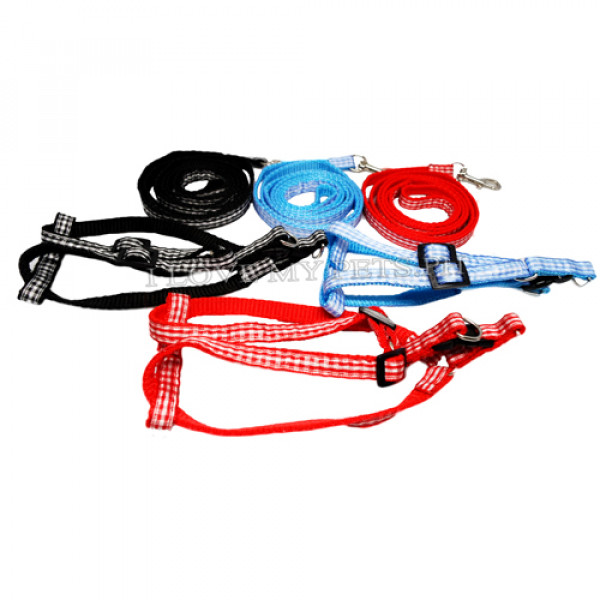 FP harness (1 cm) w/ leash (1 meter) Checkered Red