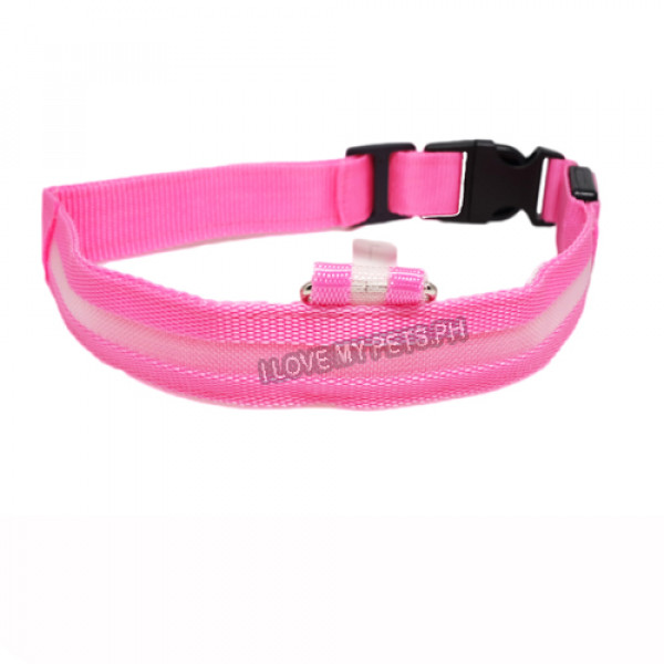Safety First Dog Collar w/ LED Light Band