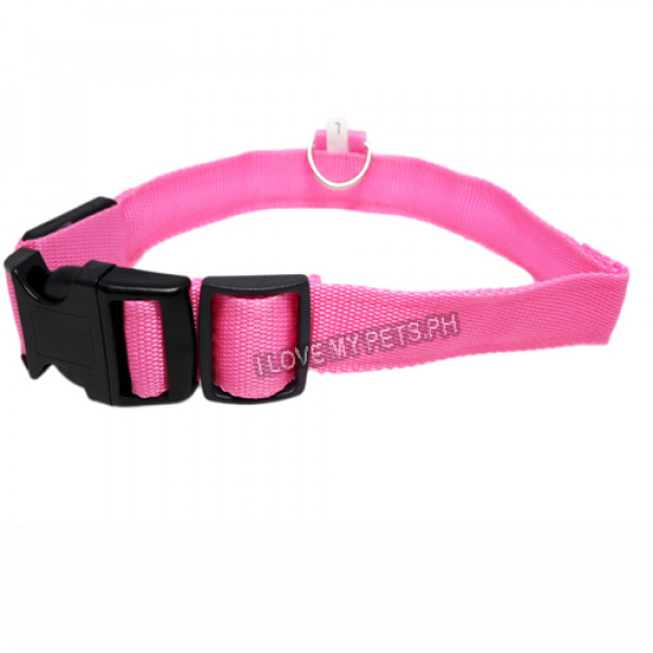 Safety First Dog Collar w/ LED Light Band