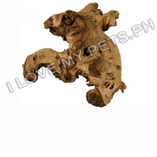 Zoomed African Mopani Wood Small